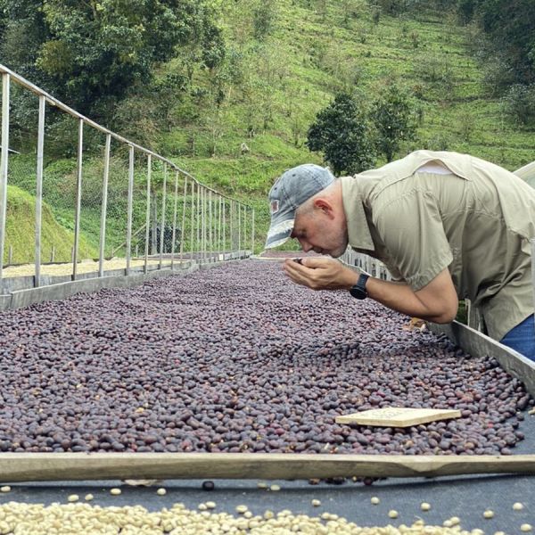 Panama Duncan Lot 3234 - Filter - Limited Edition