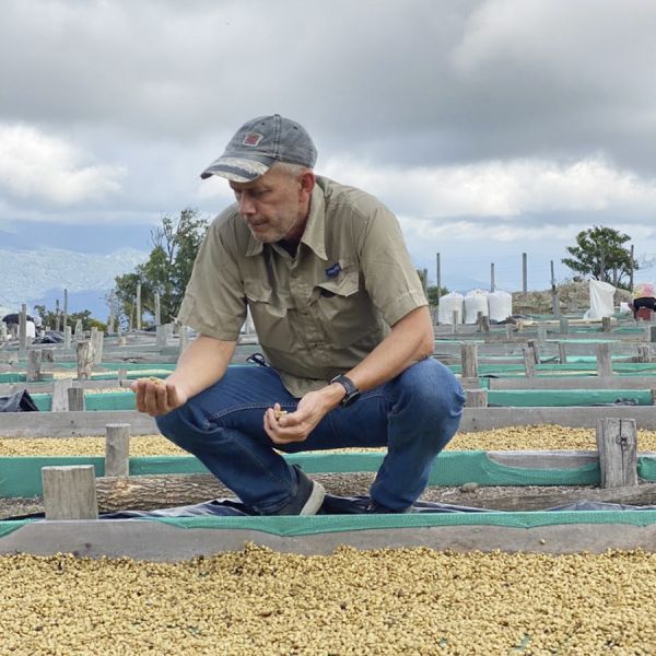 Panama Duncan Lot 3234 - Filter - Limited Edition