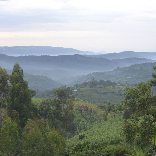 Ethiopië Sasaba Espresso - Limited Edition