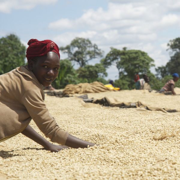 Ethiopië Sasaba Filter - Limited Edition