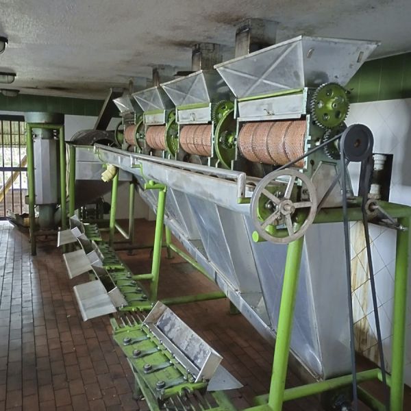 Colombia Santander Organic Filter