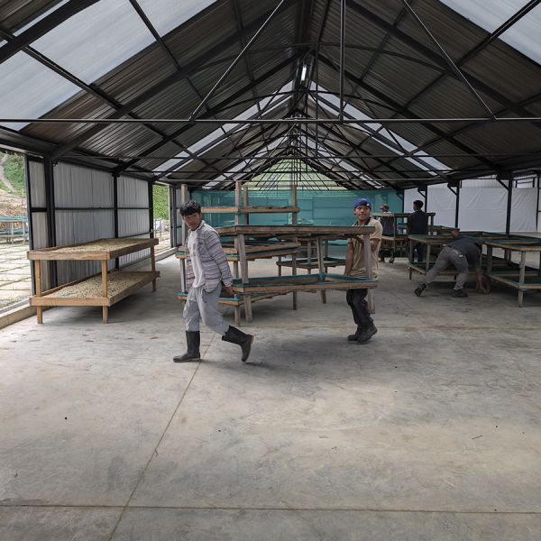 Panama Las Brujas Geisha Espresso - Ultra Limited Edition