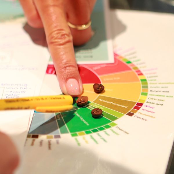 K218 Koffieproeverij – Zaterdag 29 nov – Aanvang 13:25 uur – Het Lokaal Amersfoort