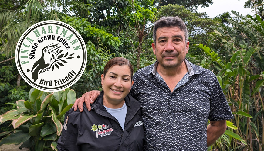 De ontdekking van de Panama Hartmann Natural – Lot 33 - Limited Edition